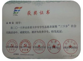 王玲玉等多名同学获三下乡社会实...