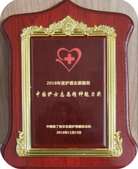 南丁格尔志愿服务队荣获护理志愿...