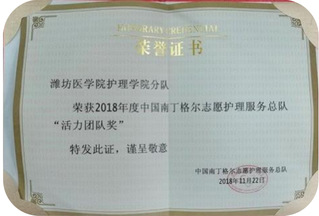 中国南丁格尔志愿护理服务总队为...