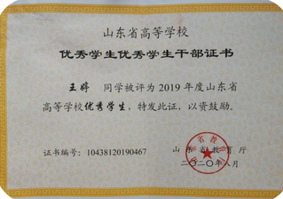 王婷等同学获 2018—202...